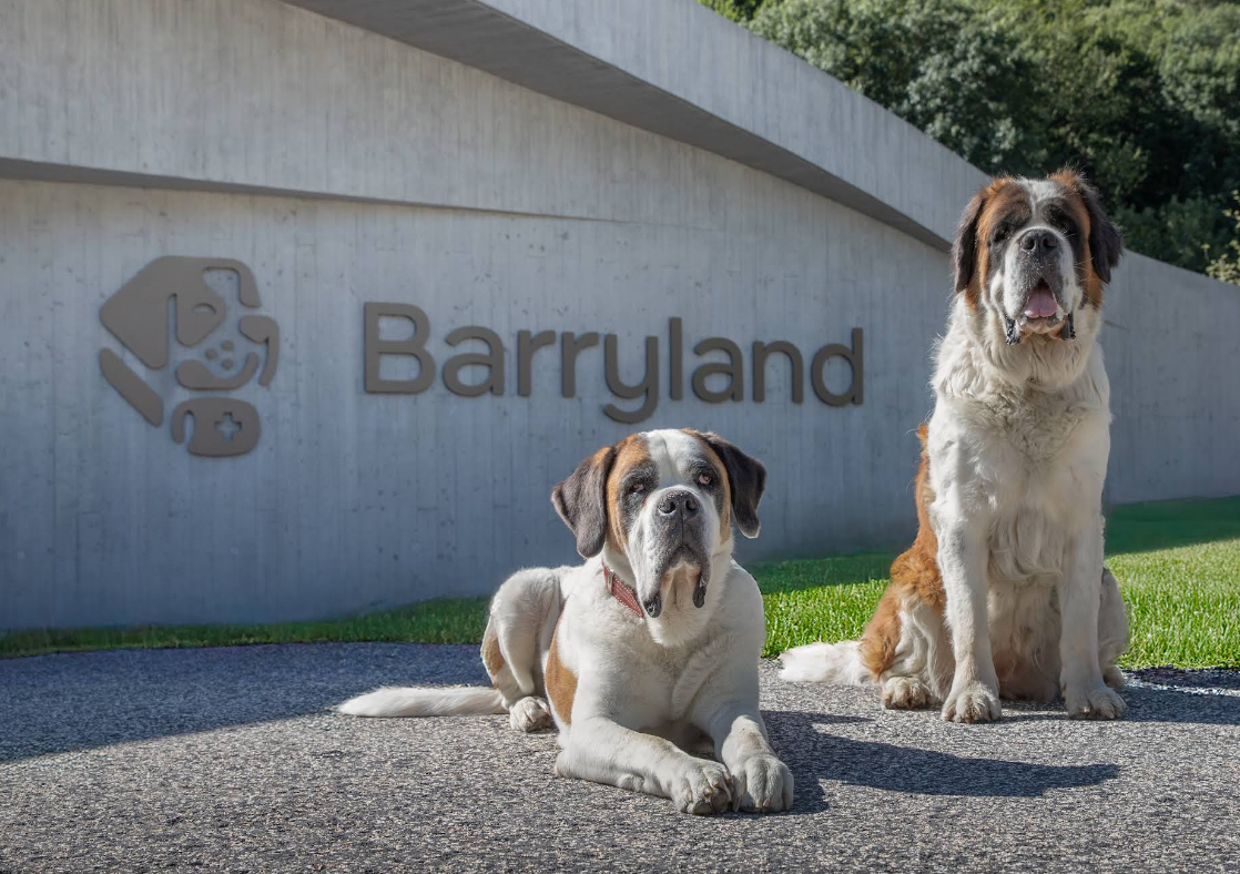 Avantages de la carte d&rsquo;hôte de Saillon