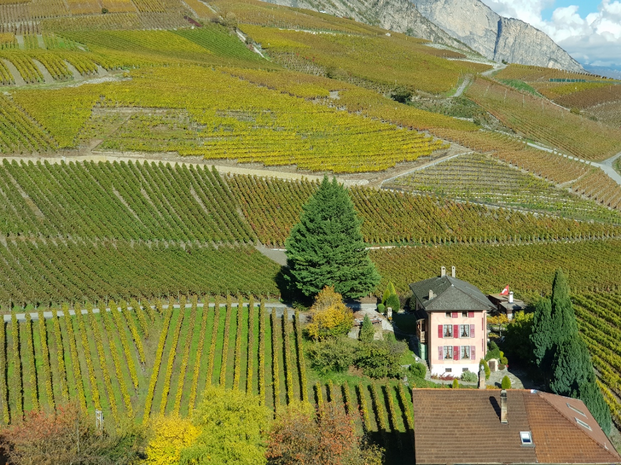 Vorteile der Gästekarte von Saillon