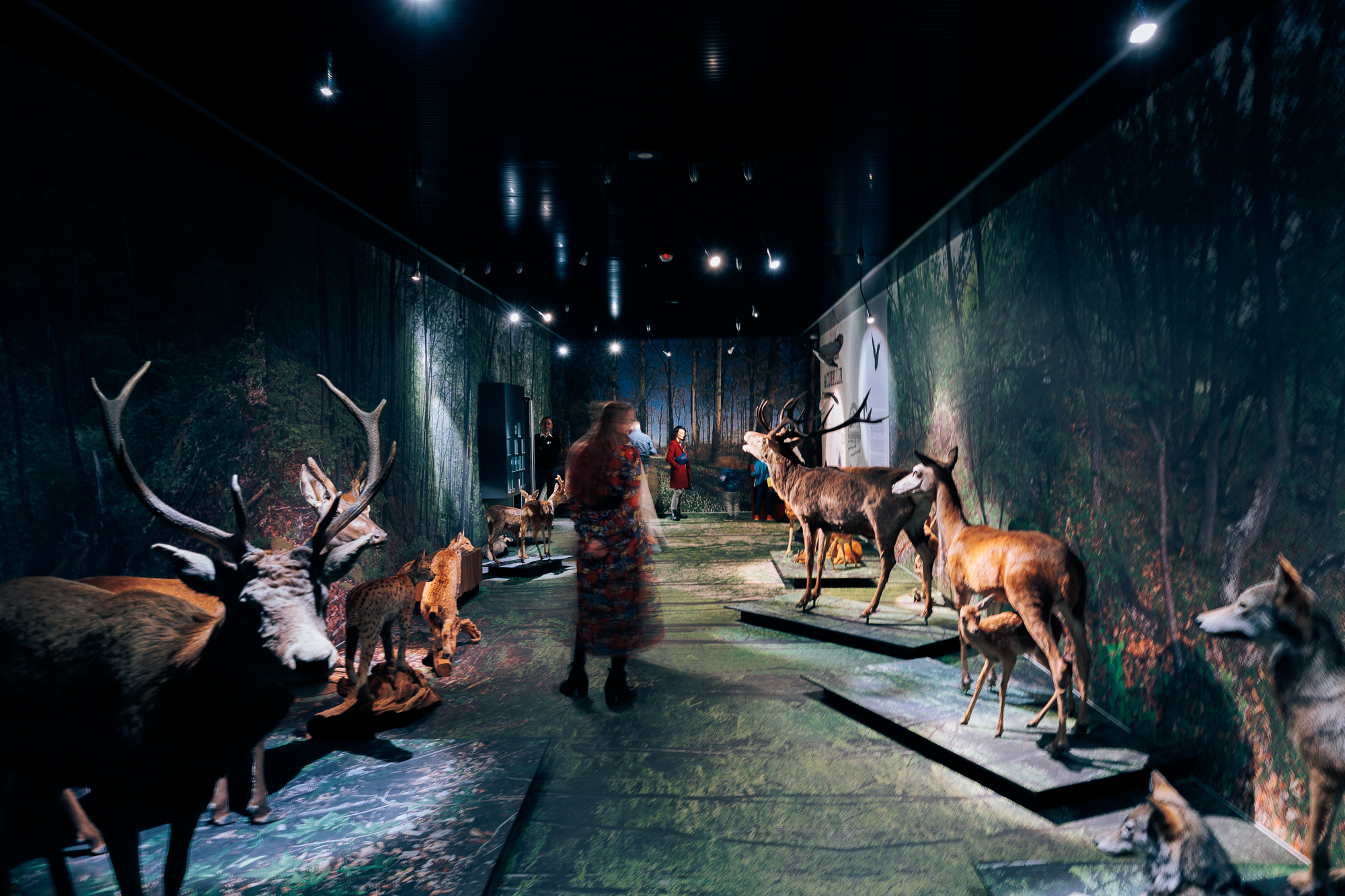 Avantages de la carte d&rsquo;hôte de Saillon